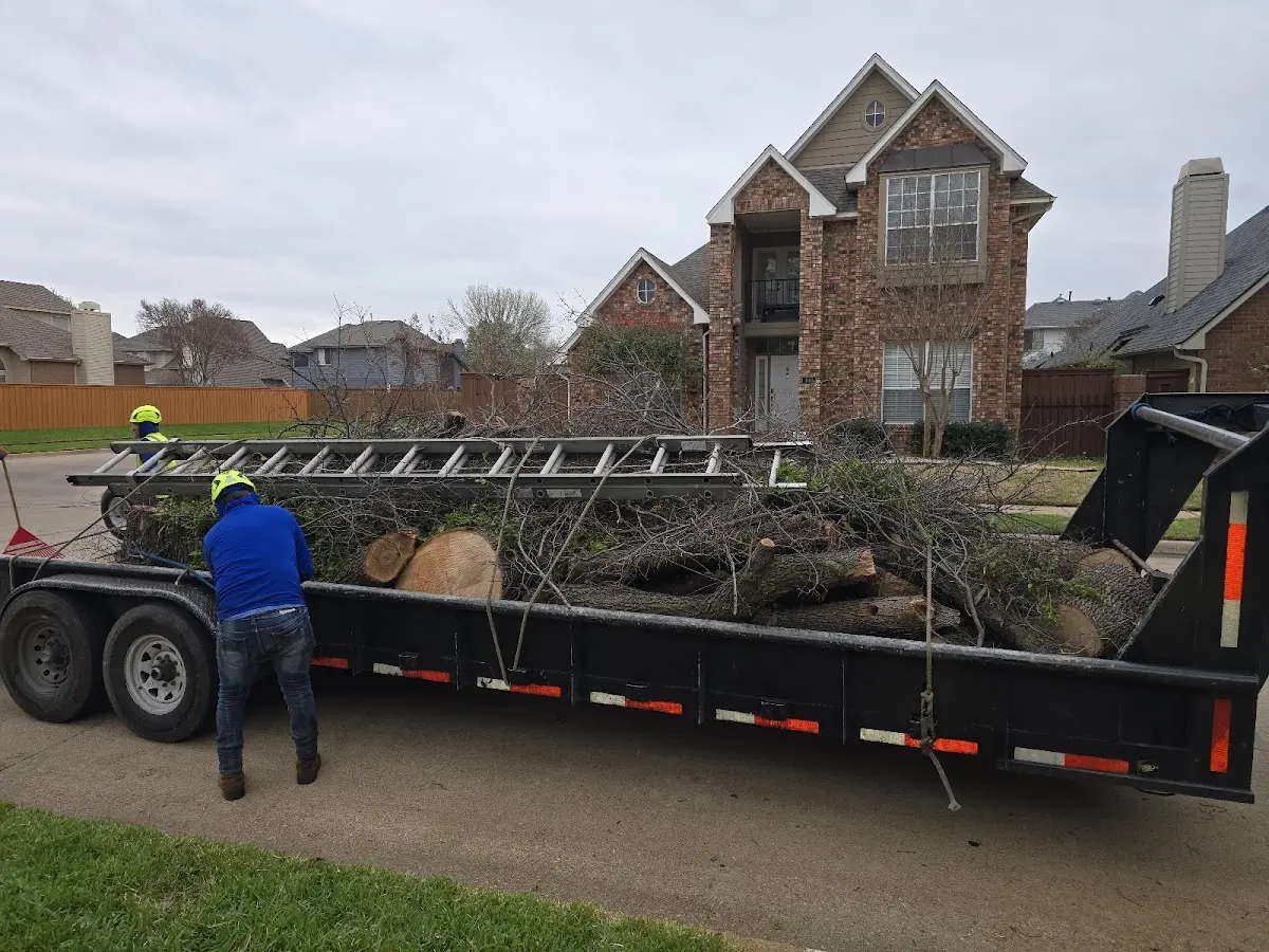 Expert Tree Fertilization with proper safety equipment in Bagwell
